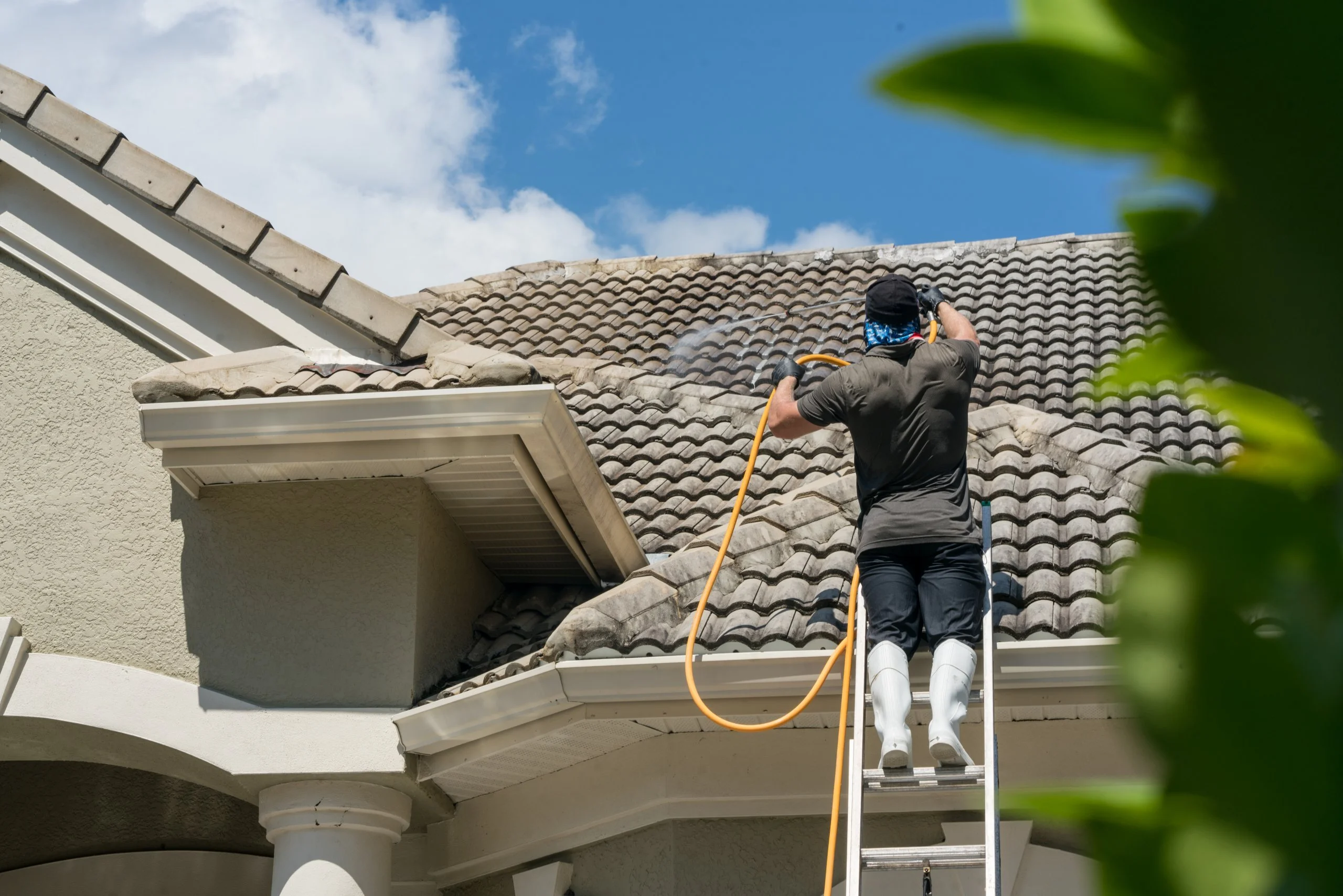 Technician cleaning black roof streaks from asphalt shingles on a residential home